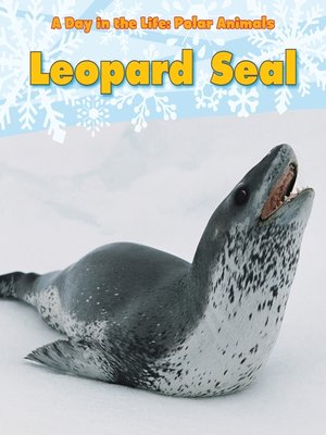 cover image of Leopard Seal